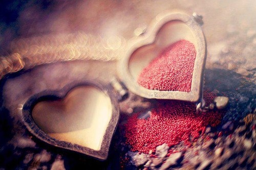 Түмэнбаярын Бум-Эрдэнэ : Салалт